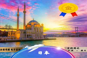 日本个人旅游签证3个月单次上海送签