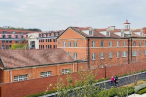 上海的衡山路：小资情调的浪漫攻略