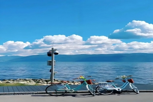 大理旅行团建